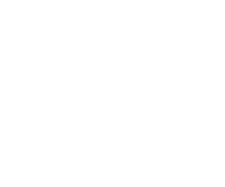 平均年齢29.6歳